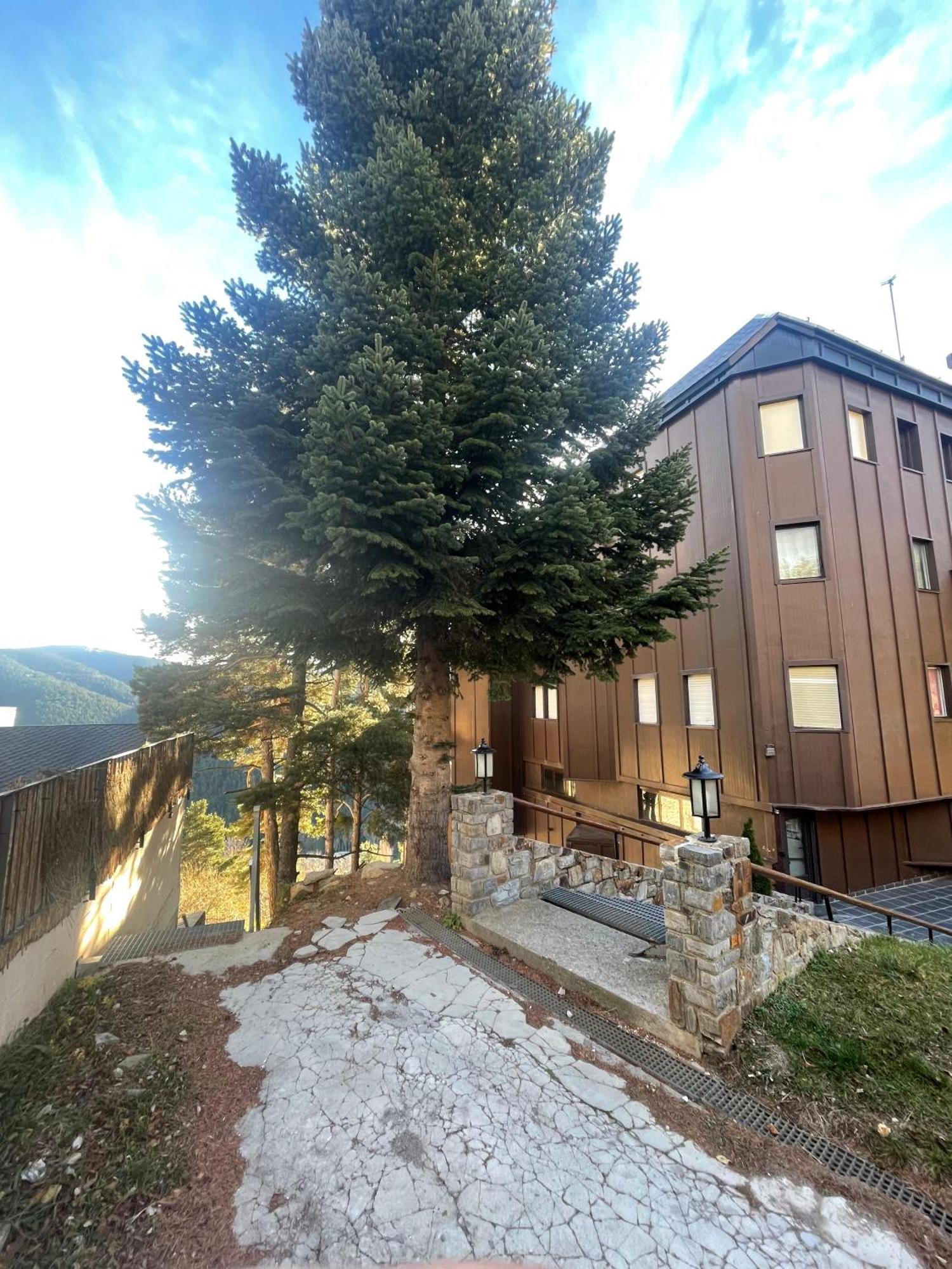 Acogedor En La Molina, 2hab, Wi Fi * La Molina (Girona)